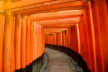 the most beautiful viewpoint of fushimi inari taisha(fushimi inari shrine) is a popular tourist dest