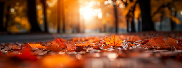 Sticker - Colorful foliage in the park. Falling leaves natural background .Autumn season concept. Abstract autumn background