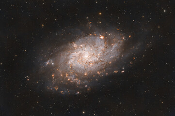 Wall Mural - deep space astrophotography using a telescope to capture the triangulum galaxy