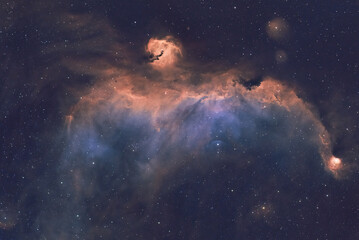 Wall Mural - deep space astrophotography using a telescope capturing the seagull nebula ic 2177