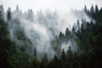 Wall Mural - misty mountain landscape