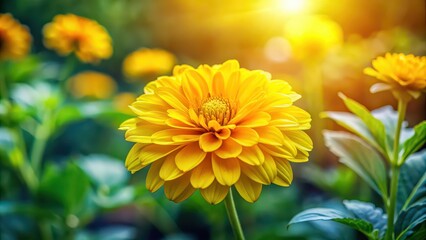 Poster - Vibrant yellow flower blooming in a lush garden, yellow, flower, garden, blooming, vibrant, petals, nature, flora, plant, botany