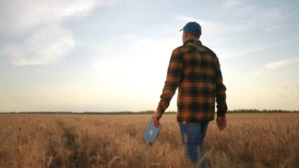 Sticker - Agriculture. Farmer walking in a field of wheat. Agriculture food land concept. A man farmer works on wheat. A farmer and a man are walking through a field of wheat lifestyle.