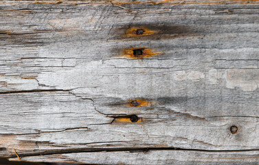 old wood background