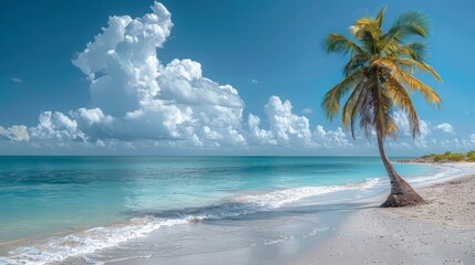 Wall Mural - A tranquil beach scene features lush palm trees arching over the crystal-clear water, inviting travelers to relax and bask in the summer sun