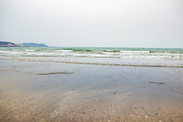 Wall Mural - Kamakura misty beach views spring Japan