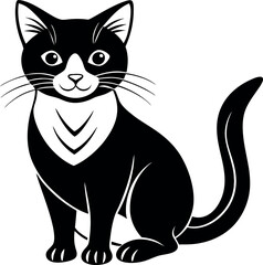 Wall Mural - A black and white cat is sitting on a white background