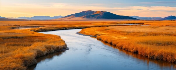 Poster - Serene River Flowing Through Golden Grasslands at Sunset.