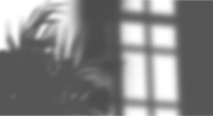 Fototapete - Realistic shadow overlay of palm tree branch. Transparent overlay shadow effect from tropical palm leaves. Realistic soft light effect of shadows and natural light on transparent background