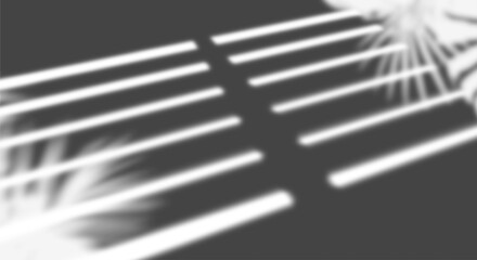 Fototapete - Realistic transparent shadow from a leaf of a palm tree on the transparent background. Tropical leaves shadow. Mockup with palm leaves shadow