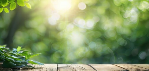 Poster - A wooded area with a tree and some leaves on a wooden table