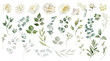 © Nataliya Kunitsyna - White flowers isolated. Alabaster roses, creamy peony bouquets, ivory elegant florals. Eucalyptus leaves greenery. Watercolor floral illustration isolated on transparent background. Wedding clip art