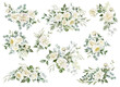 © Nataliya Kunitsyna - White flowers isolated. Alabaster roses, creamy peony bouquets, ivory elegant florals. Eucalyptus leaves greenery. Watercolor floral illustration isolated on transparent background. Wedding clip art