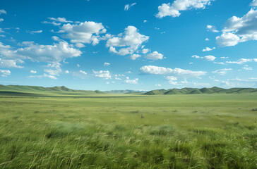 field of grass and sky