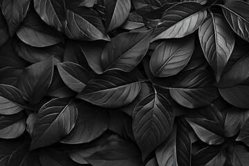 Poster - Leaves of black color, abstract nature background, monochrome concept for design with copy space in the style of abstract nature.



