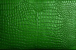 © -=RRZMRR=- - texture of green crocodile leather, empty background