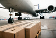 © anetlanda - Loading cargo on plane in airport. Shipping logistic