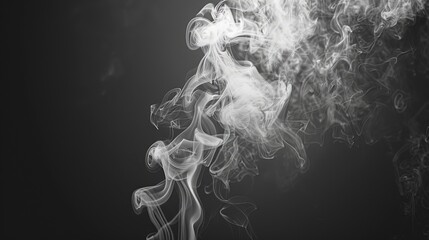 Canvas Print - White smoke moving against a dark backdrop