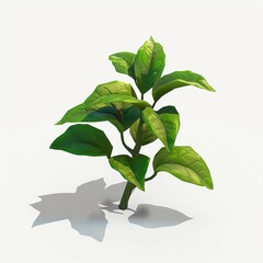 Canvas Print - bush plant isolated on a white background