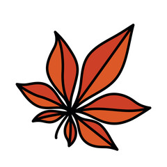 Wall Mural - hello fall, orange chestnut leaf isolated on white background, autumn leaves, thick black outline, vector illustration, not editable stroke, fall decoration element