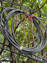 Poster - a closeup of a cable on the background of a green grass