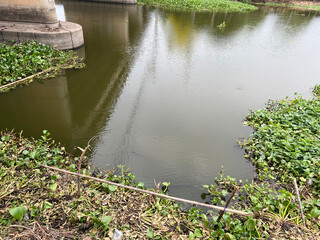 Sticker - the pond with water in the park