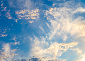 Wall Mural - Light sunset cloudscape. Blue sky background with white clouds. The texture of the sky with translucent light feathery clouds.