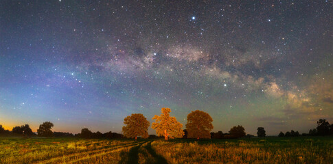 Starry night landscape