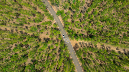 Wall Mural - Aerial view of dark green forest road and white electric car Natural landscape and elevated roads Adventure travel and transportation and environmental protection concept