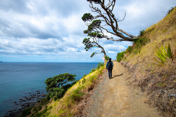 Sticker - Mangawhai Cliff Walk - New Zealand