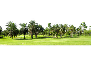 Wall Mural - View of a High definition Treeline isolated on a white background