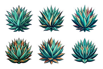 set of mexican illustration theme, agave plant