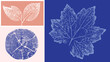 © CaptureAndCompose - Decorative leaf prints and wood block prints. Monotone pink and blue botanical impression tree rings print.