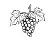 © Illustration Essenti - line art of grapes