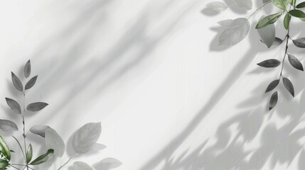 Fototapete - Elegant abstract background with leaves and shadows.