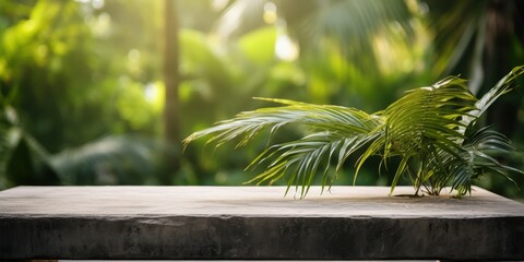 Wall Mural - Wooden Table with Tropical Foliage