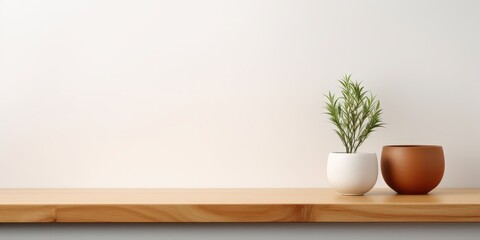 Wall Mural - Minimalist Home Decor with Plants on Wooden Shelf