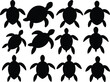 © Gd Borkot - Set of different turtle silhouette on white background, Sea turtle stencil template bundle