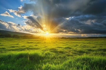Aufkleber - a field with grass and flowers under a cloudy sky, The sun breaking through the clouds, casting golden rays of light on a lush green meadow