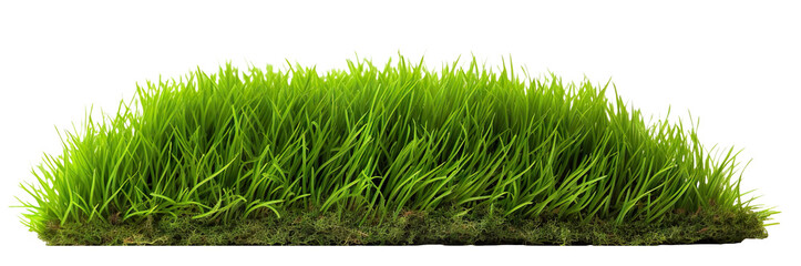 Wall Mural - Patch of fresh green lawn grass, cut out