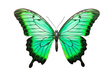 Beautiful green butterfly in PNG format with transparent background, ideal for digital art, nature-themed designs, and creative projects featuring detailed and vibrant wings