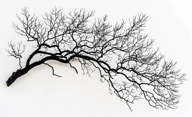 Sticker - Black tree branches silhouetted on a white background, in a flat lay. Isolated dead wood and leafless foliage provide a natural background or decoration concept