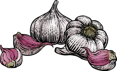 Sticker - Garlic vegetable illustration in a vintage retro woodcut etching style.