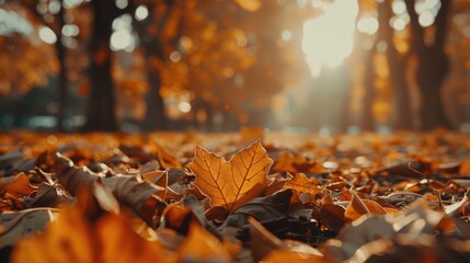 Canvas Print - Close-up of a leaf on the ground