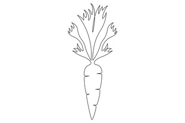 Wall Mural - Simple carrot in continuous one line art drawing design, Growing carrot plant minimalist outline vector