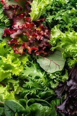 Poster - Crisp and Colorful Salad Mix, Fresh Greens, Crunchy, Garden Fresh, Healthy Lifestyle, Minimalist background