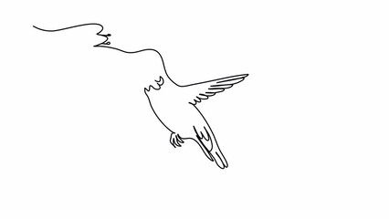 Wall Mural - Hummingbird. One line drawing animation. Video clip with alpha channel.