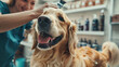 © Ely_PhotoStyle - Happy Dog at the Groomer