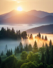 Wall Mural - Golden sunrise over misty mountain valley