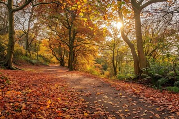 Poster - Scenic autumn forest pathway with vibrant fall foliage, sunlight filtering through trees, and leaves covering the ground creating a tranquil atmosphere.
